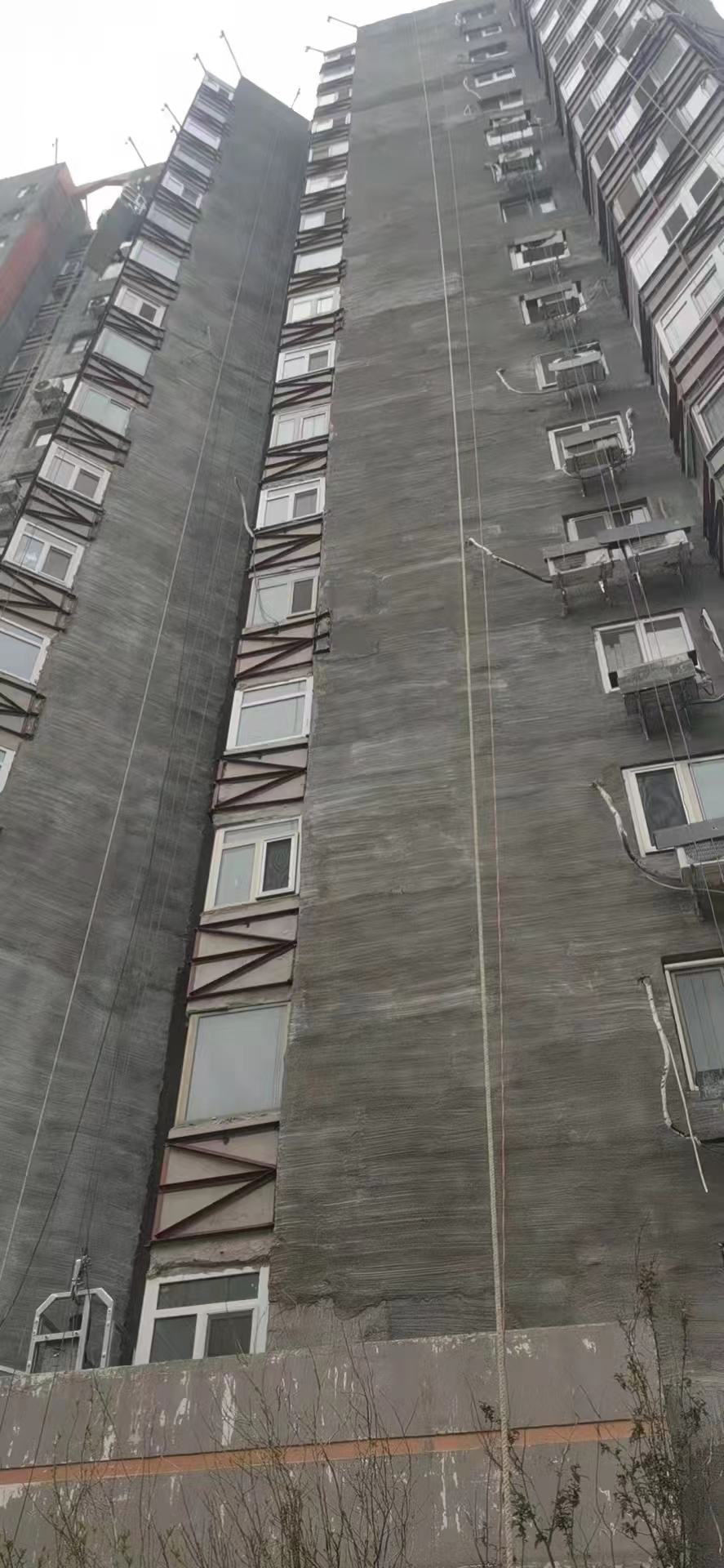 1653011439686721.jpg